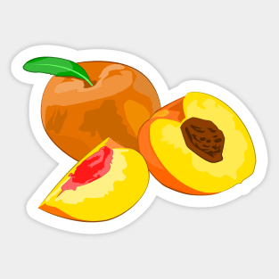 Apricot - Vector Illustration Sticker